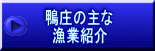 鴨庄の主な漁業紹介